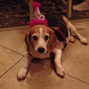 Meet your Posher, Marina